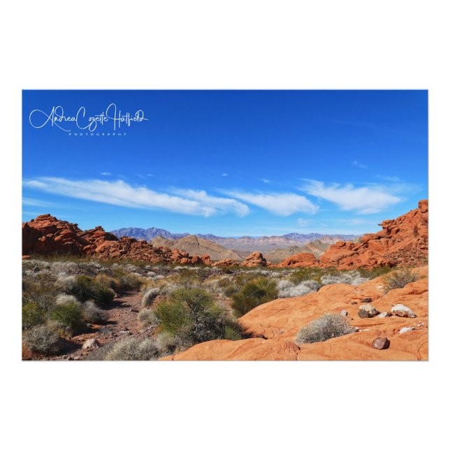 Arizona Desert Scene Photo Print (Front)