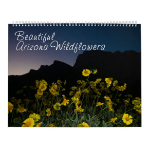 Arizona Fleurs sauvages grand calendrier de deux p