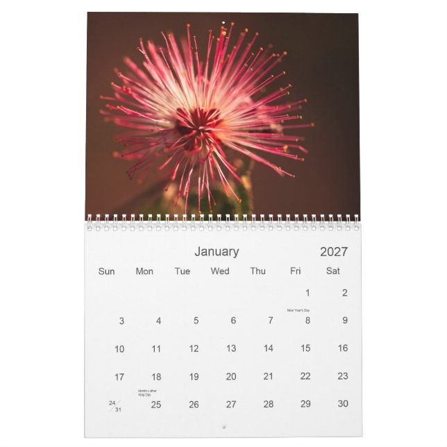 Arizona Flowers Calendar (Jan 2027)