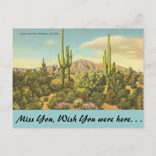 Arizona, Giant Cactus Postcard