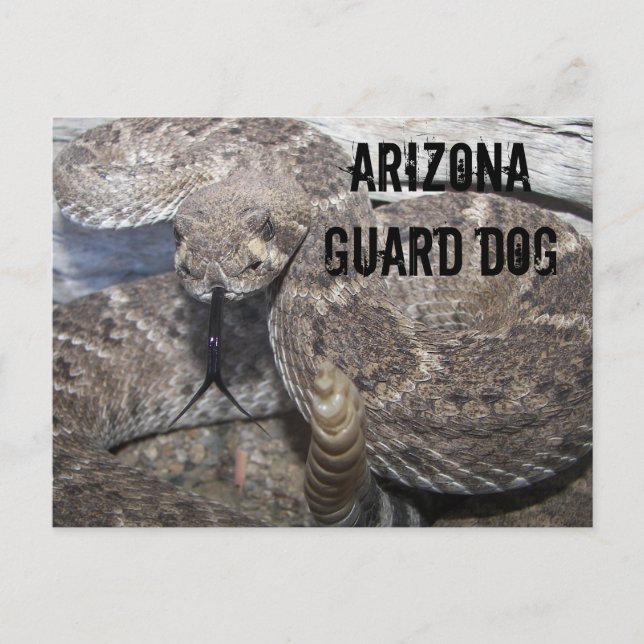 Arizona Guard Dog Postcard (Front)