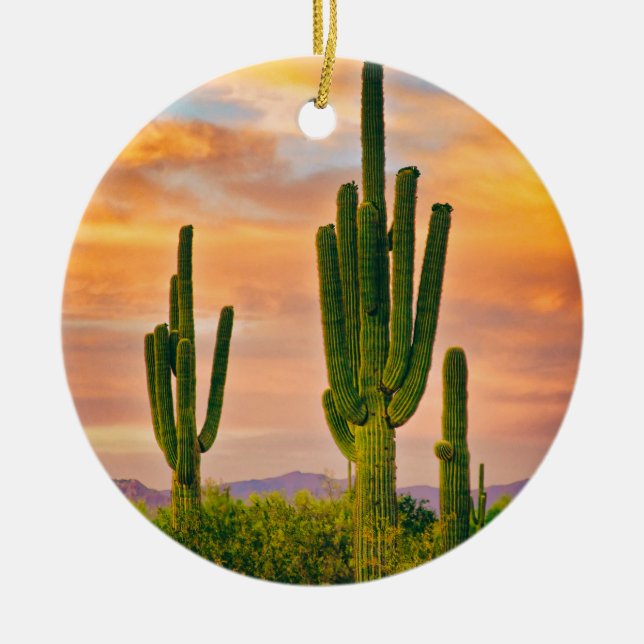 Arizona Life Ceramic Ornament (Front)