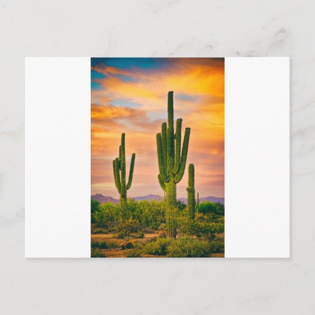 Arizona Life Postcard (Front)