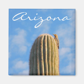 Arizona Magnet