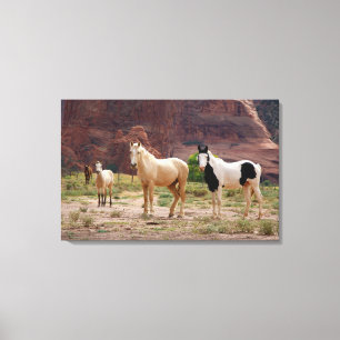 Arizona, Navajo Indian Reservation, Chinle, Canvas Print