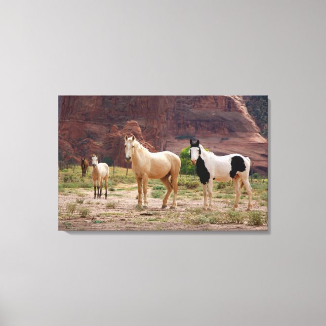 Arizona, Navajo Indian Reservation, Chinle, Canvas Print (Front)