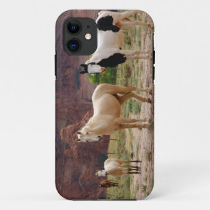 Arizona, Navajo Indian Reservation, Chinle, iPhone 11 Case