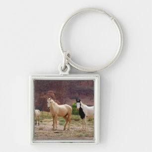 Arizona, Navajo Indian Reservation, Chinle, Keychain