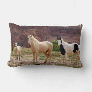 Arizona, Navajo Indian Reservation, Chinle, Lumbar Pillow