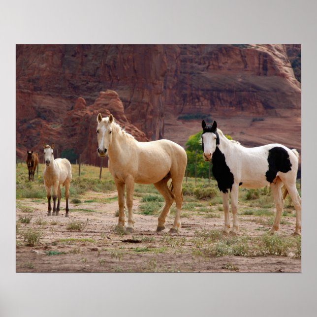 Arizona, Navajo Indian Reservation, Chinle, Poster (Front)