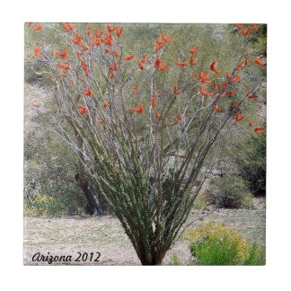 Arizona Ocotillo Tile