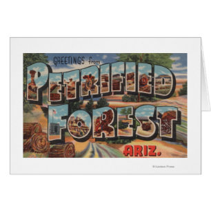 Arizona - Petrified Forest - Large Letter
