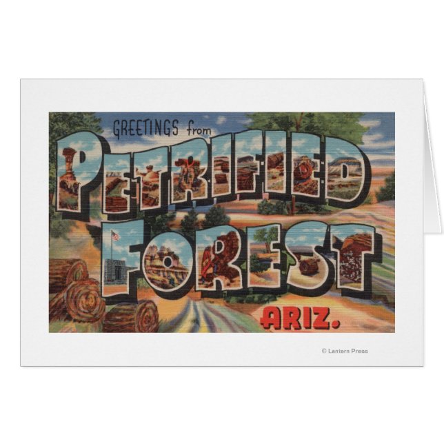 Arizona - Petrified Forest - Large Letter (Front Horizontal)