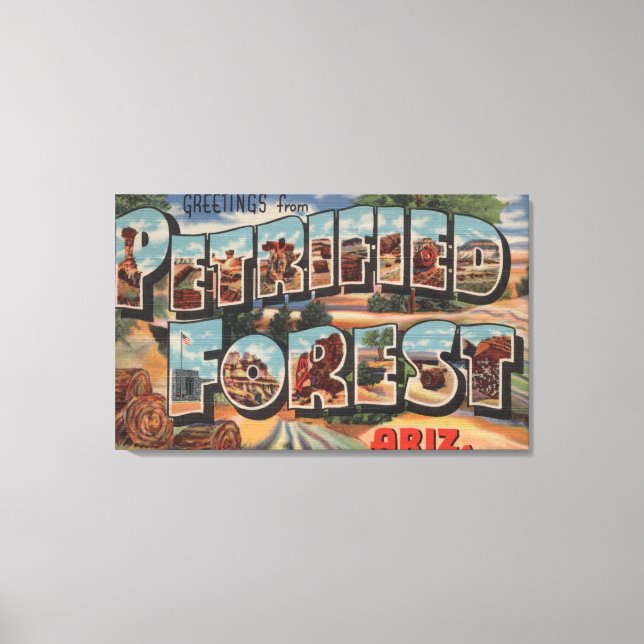 Arizona - Petrified Forest - Large Letter Canvas Print (Front)