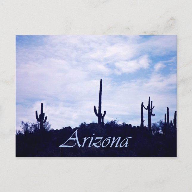 Arizona Postcard (Front)