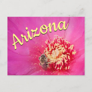 Arizona Postcard, Prickly Pear Bloom Bee Postcard