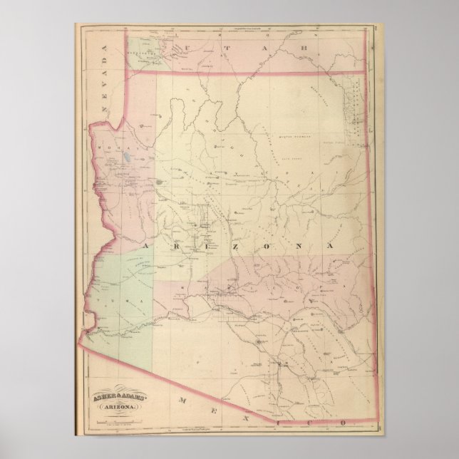 Arizona Poster (Front)