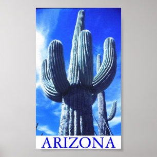Arizona Poster