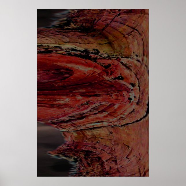 Arizona Poster (Front)