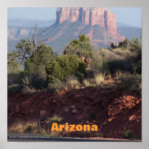 Arizona Poster
