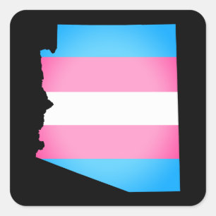 arizona pride transgender striped flag square sticker