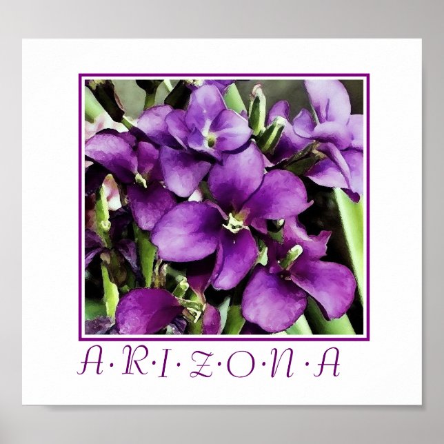 Arizona purple flowers print (Front)