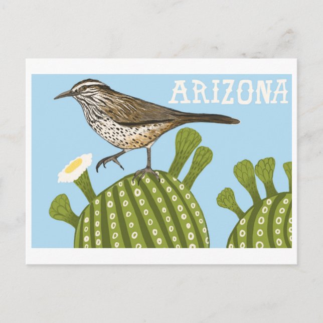 Arizona Saguaro Cactus Wren drawing Postcard (Front)