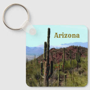 Arizona saguaro mountain landscape  keychain