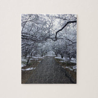 Arizona Snow Scene Puzzle - Moyen 110 pièces
