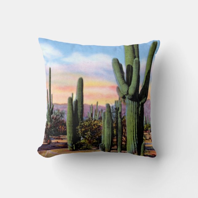 Arizona Sonoran Desert Scene Throw Pillow (Front)