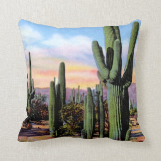 Arizona Sonoran Desert Scene Throw Pillow