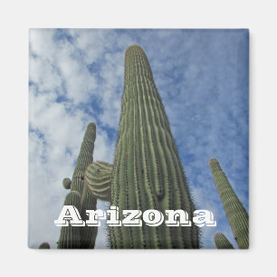 Arizona Southwest Cacti Blue Sky Saguaro Cactus Magnet