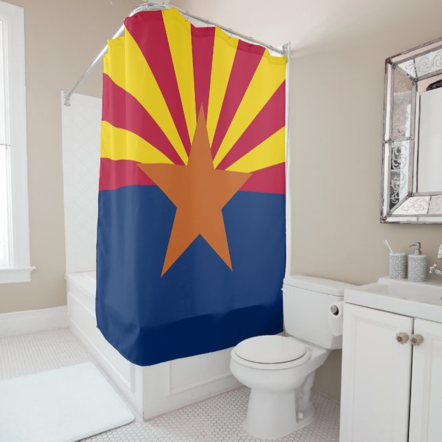Arizona State Flag (In Situ)