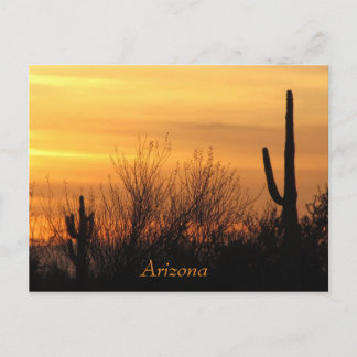 Arizona Sunset-3 Postcard