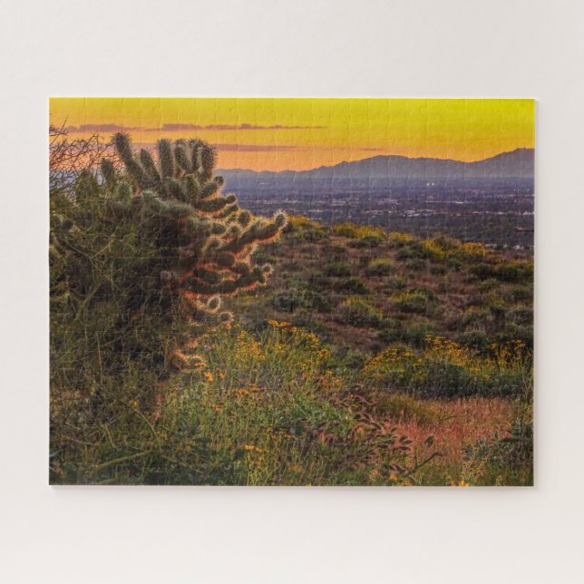 Arizona Sunset Cholla Cactus Lost Dutchman Park Jigsaw Puzzle (Horizontal)
