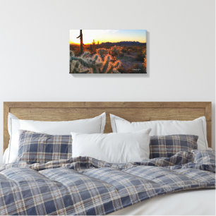 Arizona Sunset in Sonoran Desert with Cactus Canvas Print