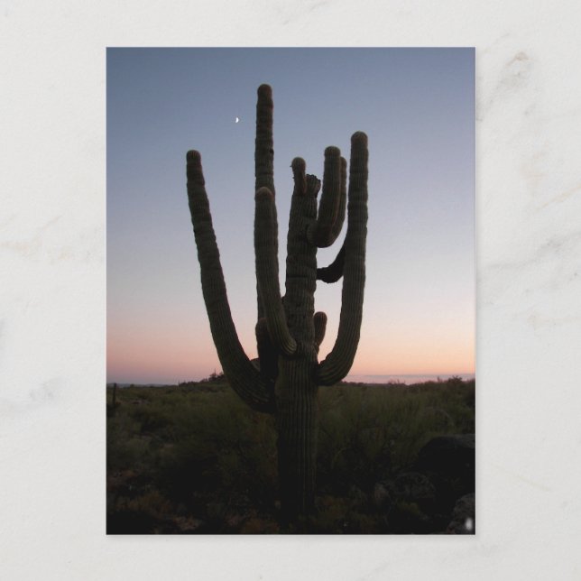 Arizona Sunset Postcard (Front)