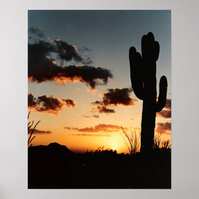 Arizona Sunset Poster (Front)