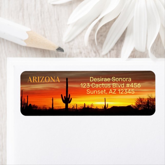 Arizona Sunset / Saguaro Cactus / Orange & Yellow (Insitu)