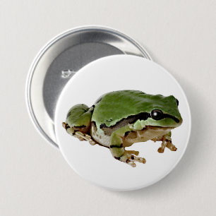 Arizona Tree Frog Close-Up Photograph 3 Inch Round Button