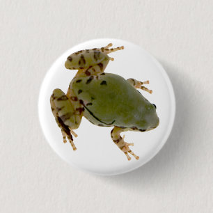 Arizona Tree Frog Photograph 1 Inch Round Button