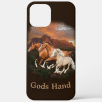 Arizona Wild horses