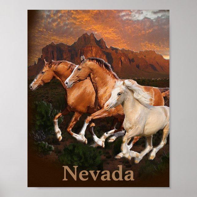 Arizona Wild horses Poster (Front)