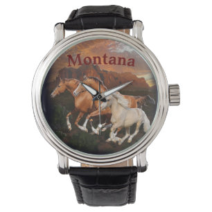 Arizona Wild horses Watch