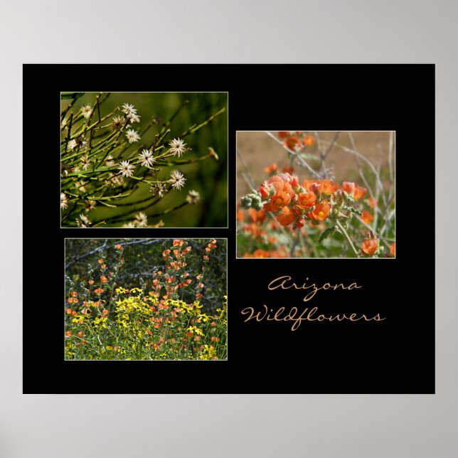 Arizona wildflowers print (Front)