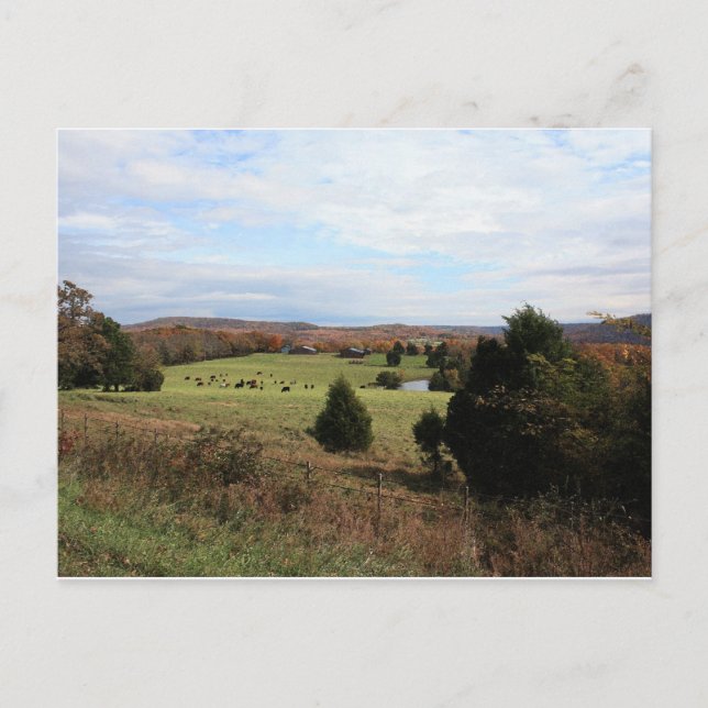 Arkansas Landscape Postcard (Front)