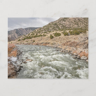 Arkansas River in Colorado Postcard