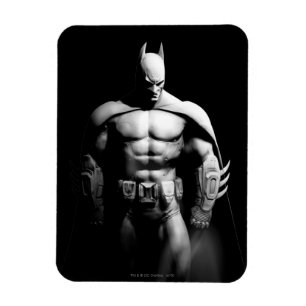 Arkham City   Batman Black and White Wide Pose Magnet
