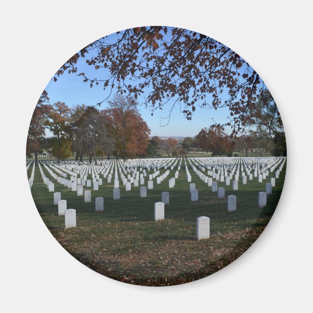 Arlington Cemetery Headstones in Lines Fall 2013 Magnet (Front)