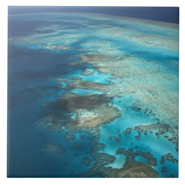 Arlington Reef, Great Barrier Reef Marine Park, Tile (Front)